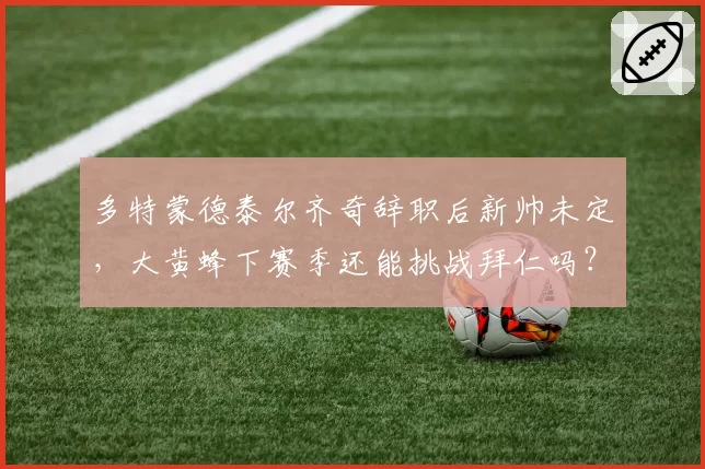 多特蒙德泰尔齐奇辞职后新帅未定，大黄蜂下赛季还能挑战拜仁吗？