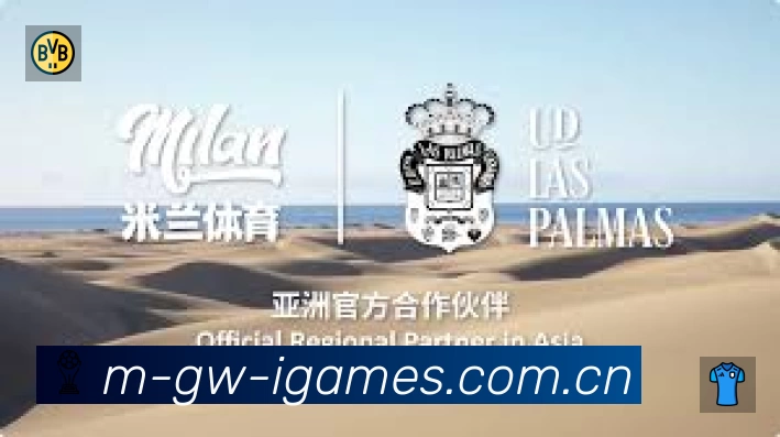 爱游戏 品牌合作